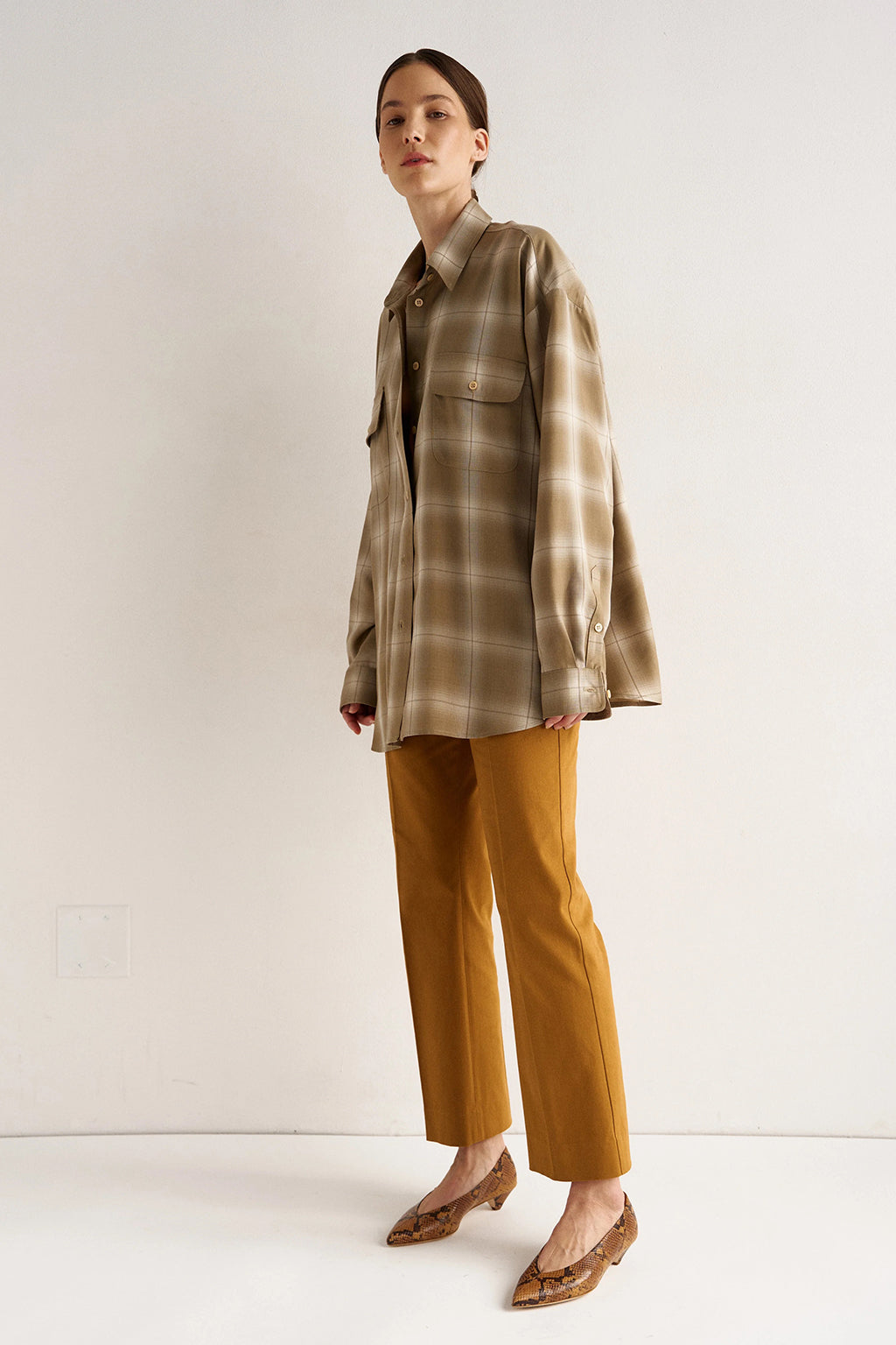 THE BIG SHIRT