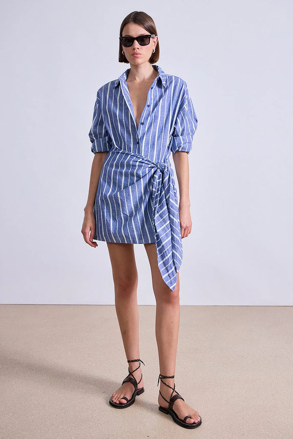 ALESSANDRA STRIPE MINI DRESS
