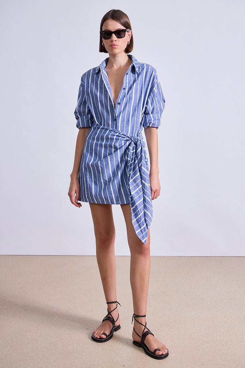 ALESSANDRA STRIPE MINI DRESS
