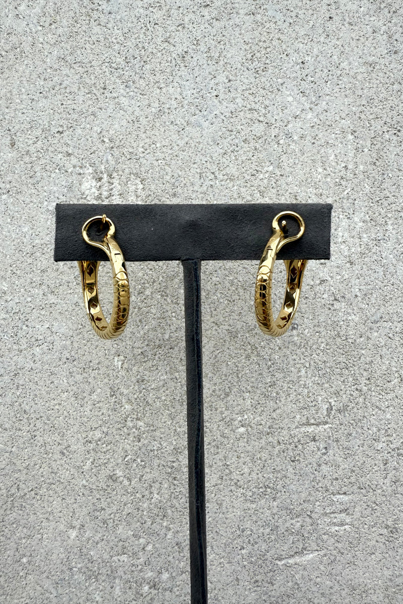 SERPENT HOOPS