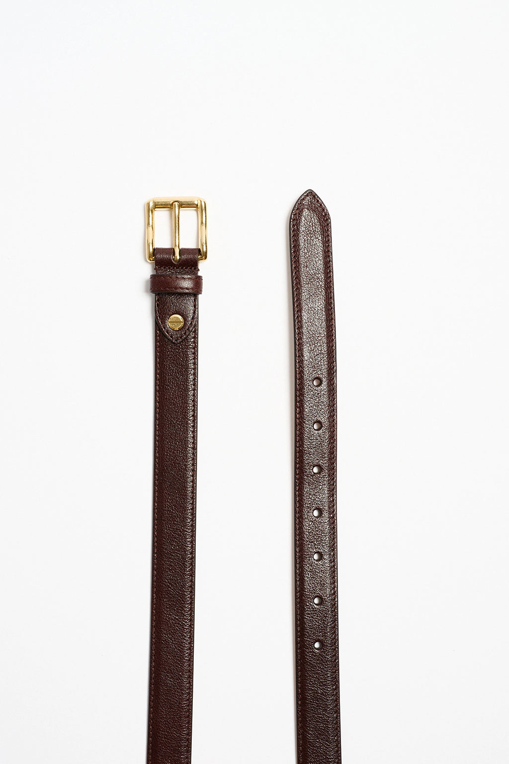 THE WAVE BELT IN OXBLOOD