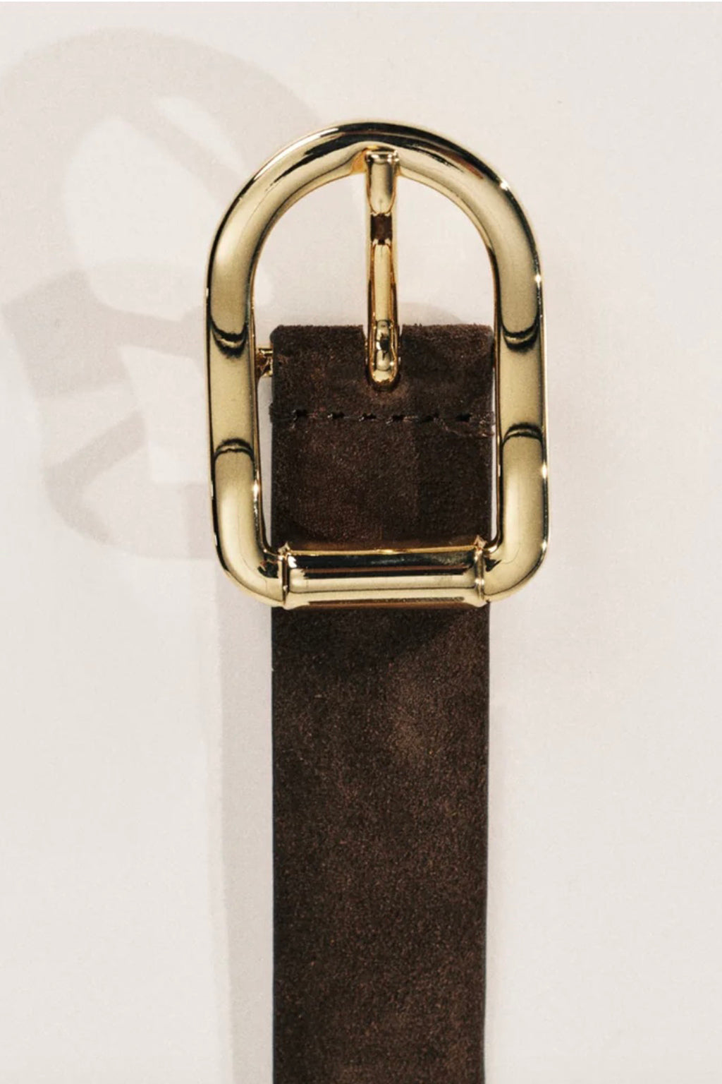 MIJA BELT IN BROWN SUEDE & GOLD